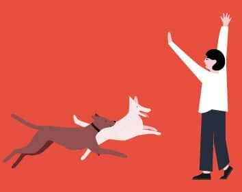 petdoctors